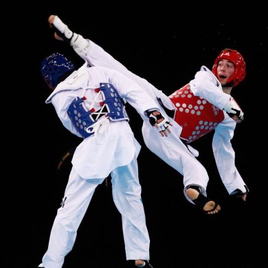 gulf tiger karate taekwondo